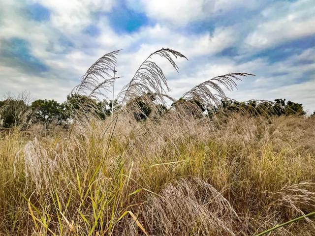 东莞游玩点(东莞这些宝藏打卡点)(3)