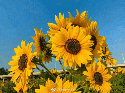 ​东莞游玩点（东莞这些宝藏打卡点）
