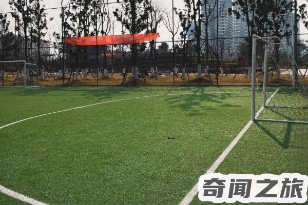 足球场地尺寸大小(描述一下标准足球场地的尺寸)(4)_