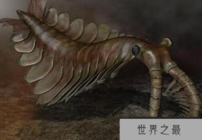 ​史前海洋三大霸主，第一被饿死终灭绝