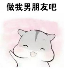 ​你关注的情侣专属仓鼠ham表情包~