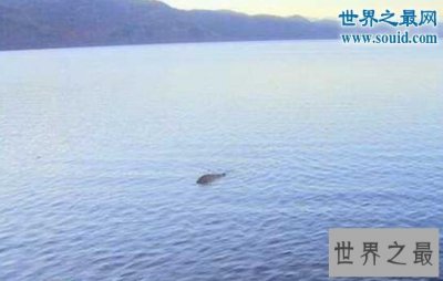 ​世界十大水怪，长32颗巨齿的水鬼(生吞鳄鱼)