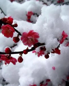 当下职场女性的现状