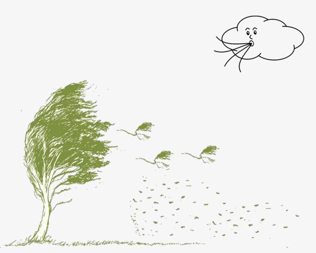 什么是海豚理论_管理学的十大法则 什么是海豚理论_管理学的十大法则