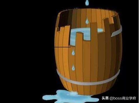 什么是海豚理论_管理学的十大法则 什么是海豚理论_管理学的十大法则