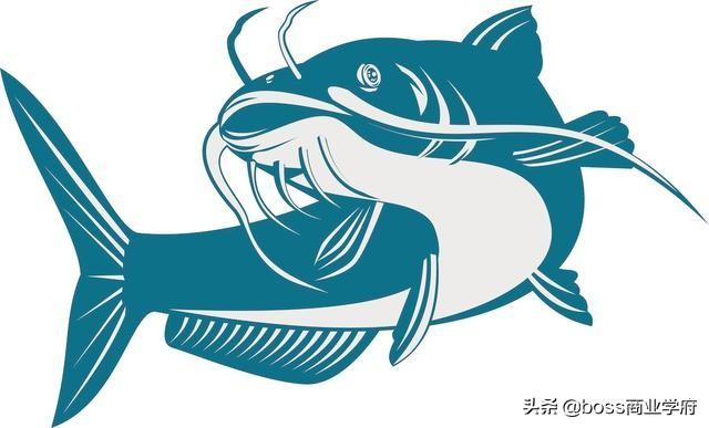 什么是海豚理论_管理学的十大法则 什么是海豚理论_管理学的十大法则