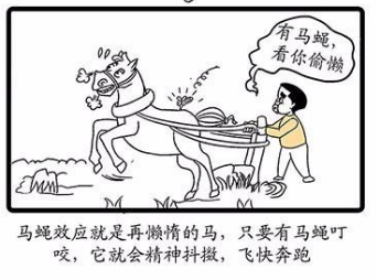 什么是海豚理论_管理学的十大法则 什么是海豚理论_管理学的十大法则