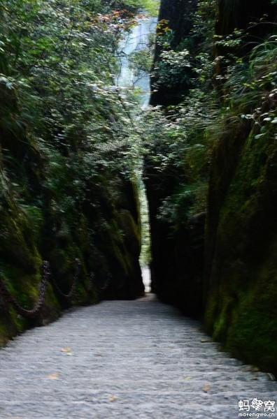 三清山自助游攻略图(好山好水----江西玉山县三清山二日自助游)(20)