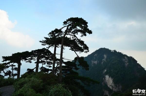 三清山自助游攻略图(好山好水----江西玉山县三清山二日自助游)(17)