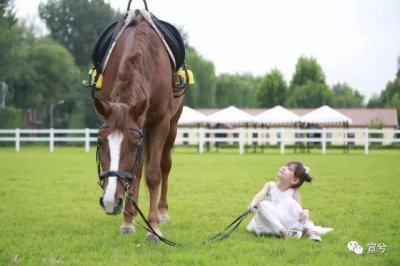 马术---一种生活