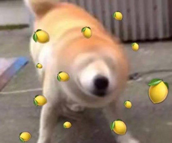 女生说的开飞机什么意思 男人千万要小心了