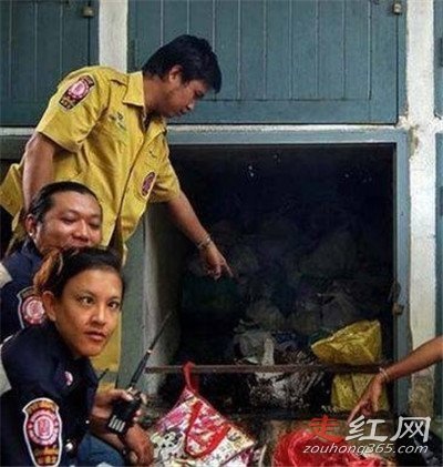 泰国寺庙婴儿藏尸案是真的吗 为枉死的婴魂祈福