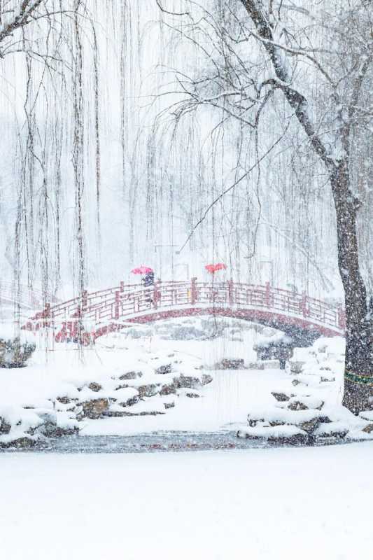 大学开学必备物品(大学开学必备物品:让你轻松过渡到大学生活的必需品) 大学开学必备物品(大学开学必备物品:让你轻松过渡到大学生活的必需品)
