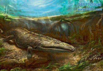 史上最大的迷齿类两栖动物,吞食恐龙的洪荒猛兽——虾蟆螈(5米)