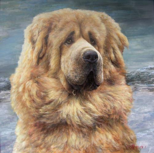 4、香格里拉—拉萨—川藏公路—西宁(拉萨—香格里拉—日喀则—拉萨市)—那曲(那曲—若尔盖)—那曲—香格里拉—成都。