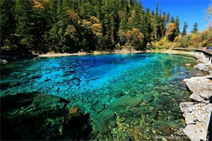 1、九寨沟—黄龙—西双版纳—成都—乐山