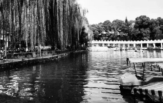 1955年成都僵尸事件是真的吗 真相到底发生了什么