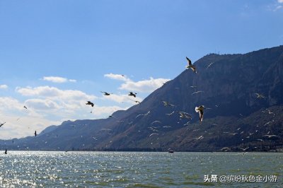 昆明一日游最佳景点一览表(昆明旅游必去十大景点推荐)