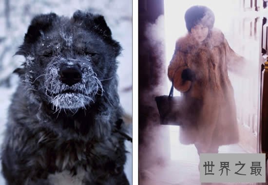 中国最冷的地方,漠河一年有8个月是冬天(零下50度)