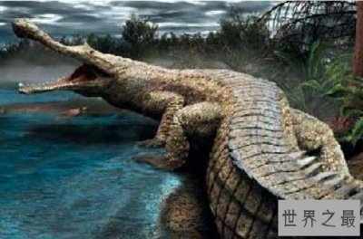 地球远古十大灭绝动物排行榜 剪齿鲨上榜,第三可能是世界上最大的猿