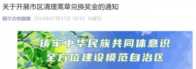 1公斤蒿草奖励1元钱!一地宣布开展除草行动,号召市民“争做除蒿斗士”