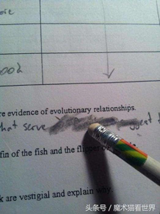 11张看了让人抓狂的照片,这样闹心的事你绝对经历过!