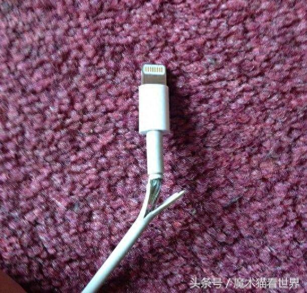 11张看了让人抓狂的照片,这样闹心的事你绝对经历过!