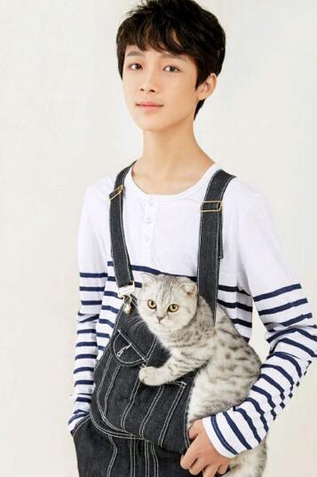 五大出生于柳州的著名明星,哪一位最能代表株洲?