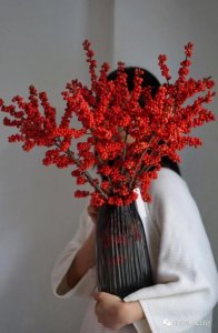 北美冬青花语的介绍(秋冬季居家插花实力团宠)