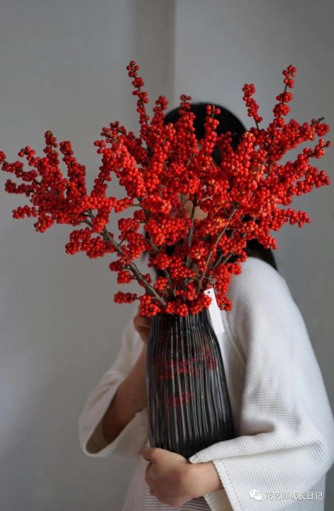 北美冬青花语的介绍(秋冬季居家插花实力团宠)
