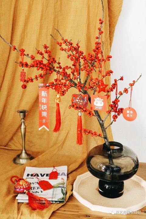 北美冬青花语的介绍(秋冬季居家插花实力团宠)