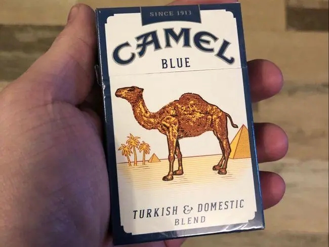 食烟食骆驼歌词什么意思_食骆驼梗出处意思介绍 食烟食骆驼歌词什么意思_食骆驼梗出处意思介绍