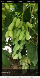 旱的意思是什么(怕涝是什么意思)