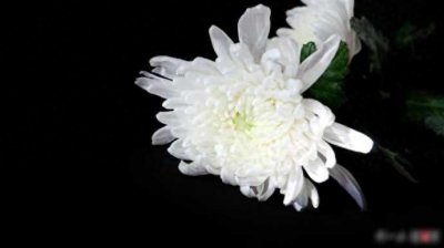 湖南省政协原副主席孙载夫逝世,享年78岁