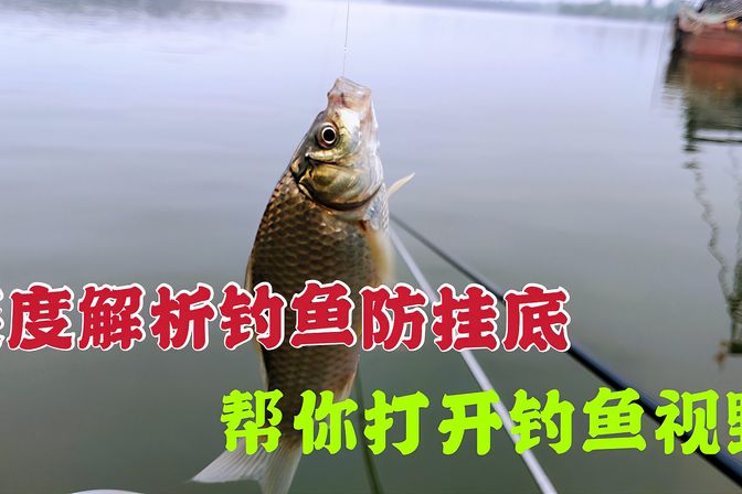 钓鱼术语有哪些(钓鱼术语大全,你会吗 )