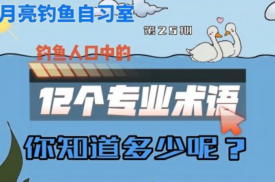 钓鱼术语有哪些(钓鱼术语大全,你会吗 )