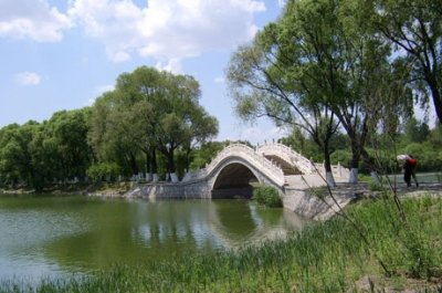 太阳岛在哪里(太阳岛风景名胜区的美丽景色分享)