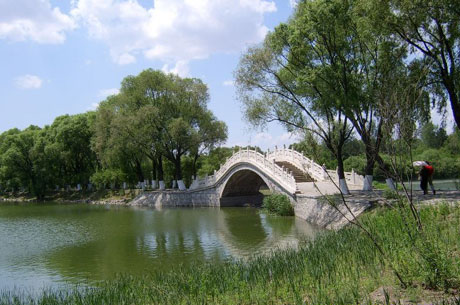 太阳岛在哪里(太阳岛风景名胜区的美丽景色分享)