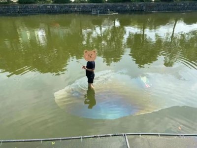 男子上演“水上漂”?仔细一看发现 ...