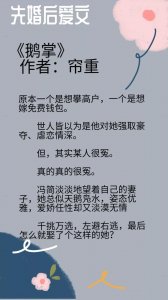 先婚后爱文推荐《鹅掌》《不二之臣》《眷》