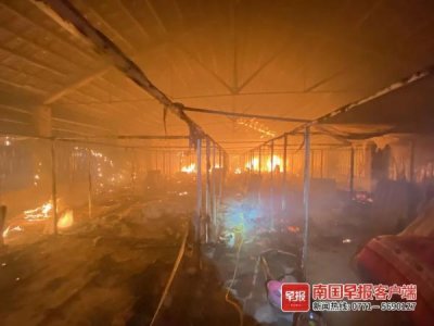 养蛇场大量蛇被烧死,“剩下的估计也难养活”