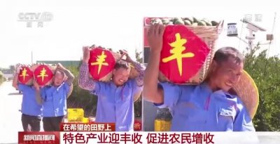 硕果累累 特色产业迎丰收