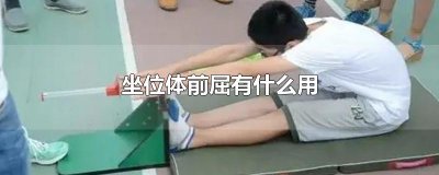 坐位体前屈有什么用