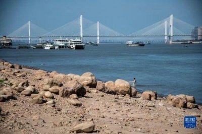 长江多处出现罕见现象!“有记录以来历史同期最低”