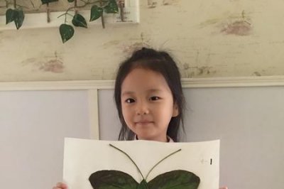 怎样用树叶种子毛线做粘贴画