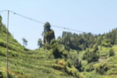 ​花龙虾怎么养