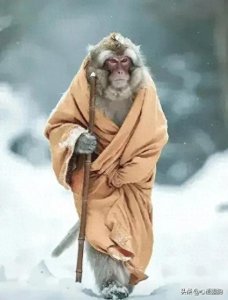 ​为什么还要“谢主隆恩”