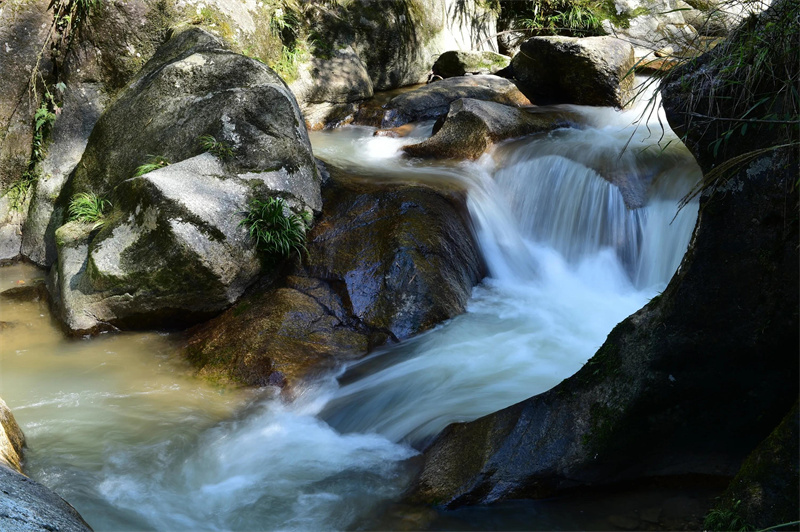 江西抚州市旅游景点有哪些(抚州著名的五大景点)