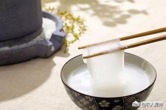 米油是什么(米油和米汤有什么区别)