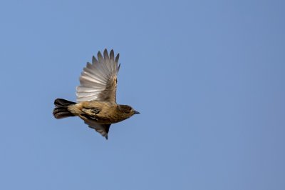 ​在国企、央企上班，切记不要轻易辞职，原因在这里